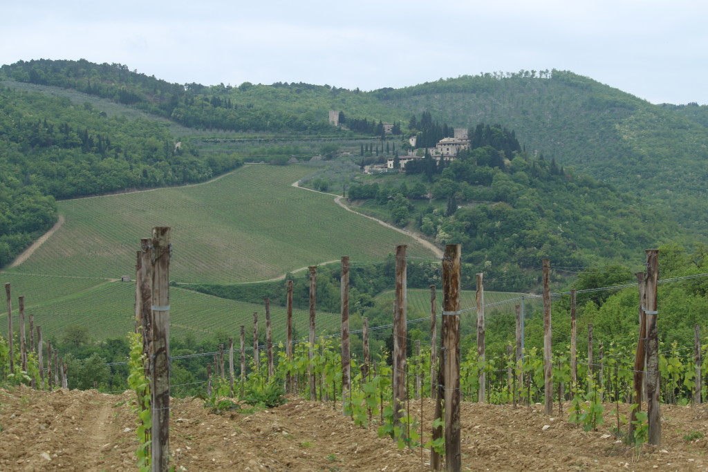 Tuscany vineyards, Castello Vicchio Maggio, Italy winery, Chianti region, travel blog